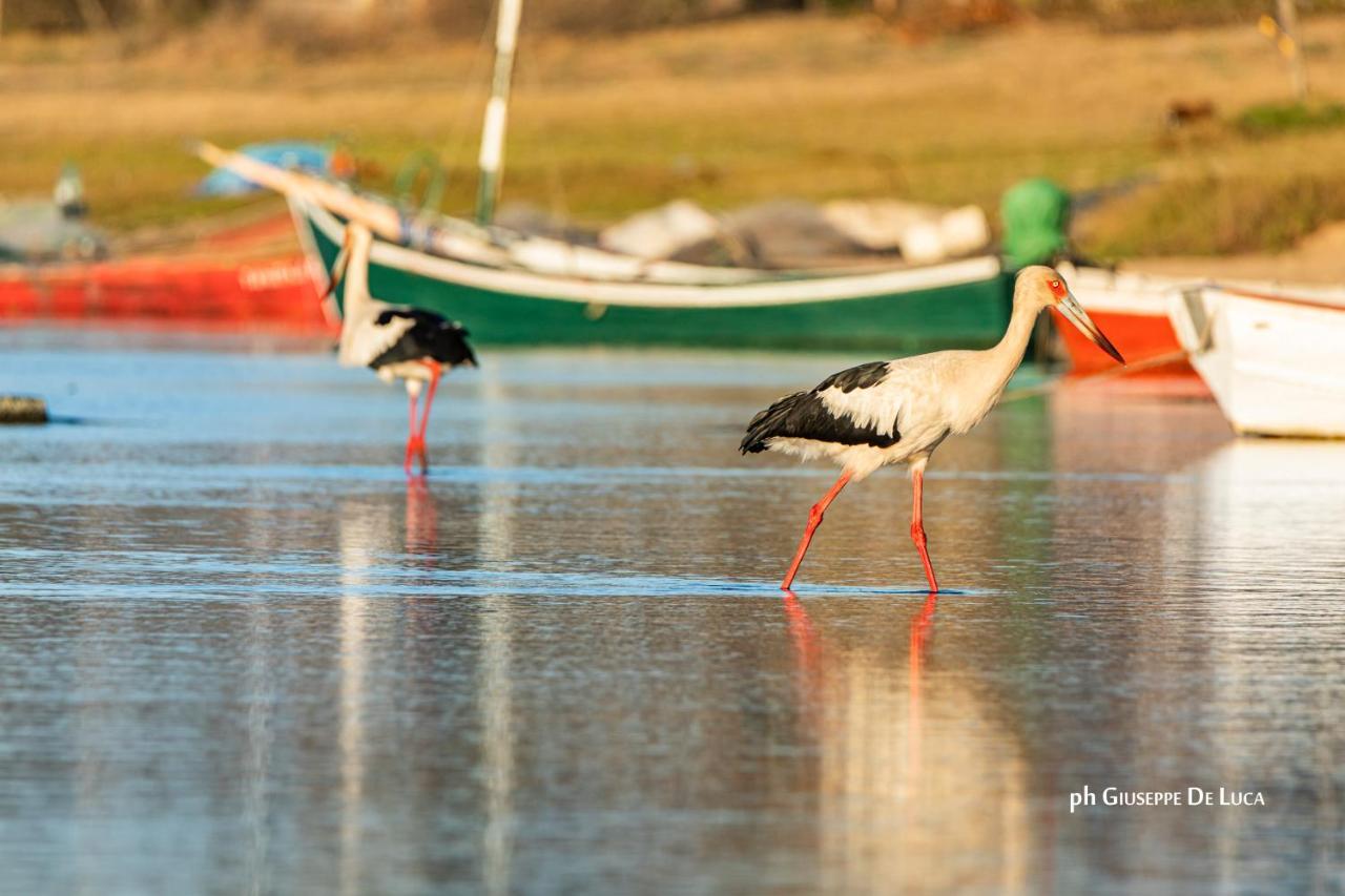 La Balsa Villa José Ignacio Kültér fotó