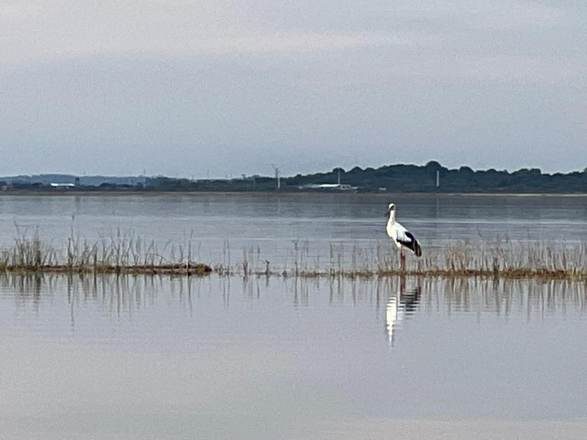 La Balsa Villa José Ignacio Kültér fotó